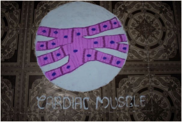Rangoli Competition