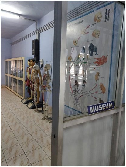 Museum