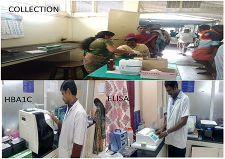 Department Laboratory