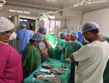 Training Activities