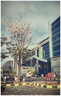 Department of Orthopedics